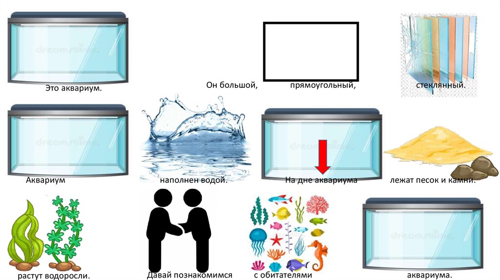 Стеклянный прямоугольный аквариум наполнен водой