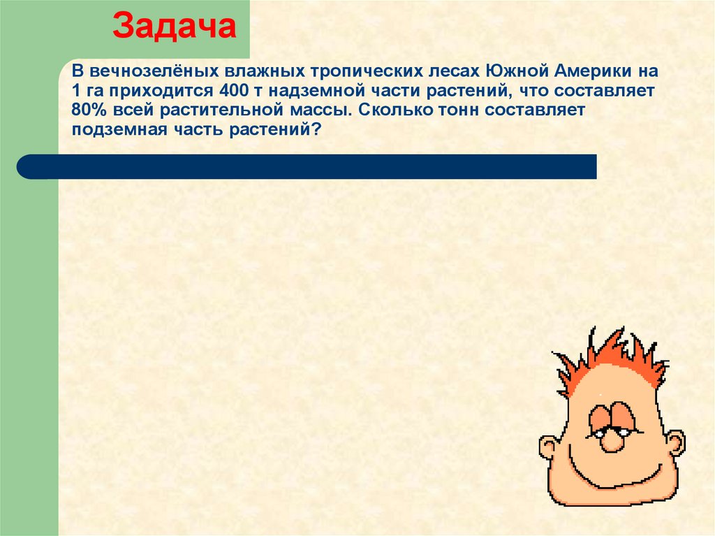 В вечнозелёных влажных тропических лесах Южной Америки на 1 га приходится 400 т надземной части растений, что составляет 80%