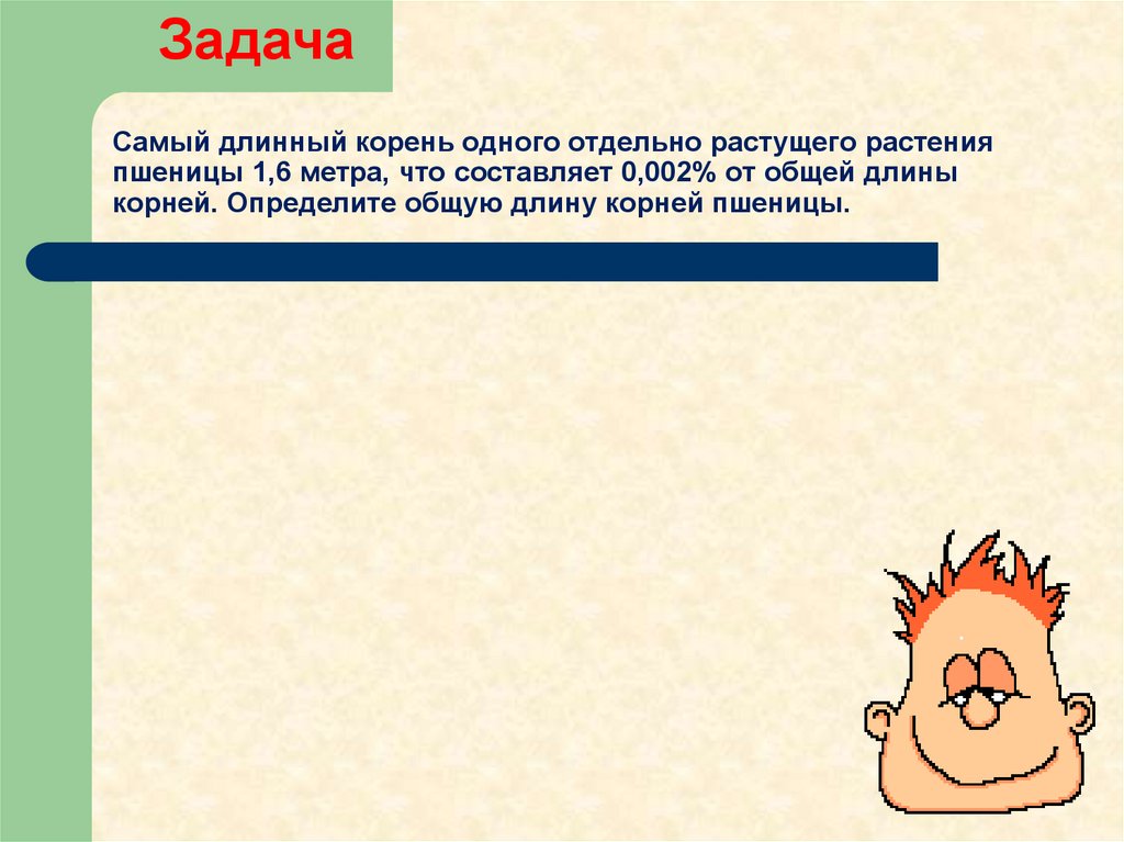 Самый длинный корень одного отдельно растущего растения пшеницы 1,6 метра, что составляет 0,002% от общей длины корней.