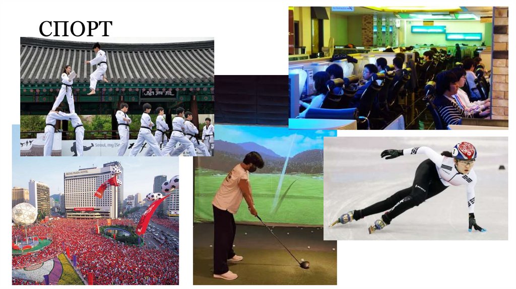 СПОРТ