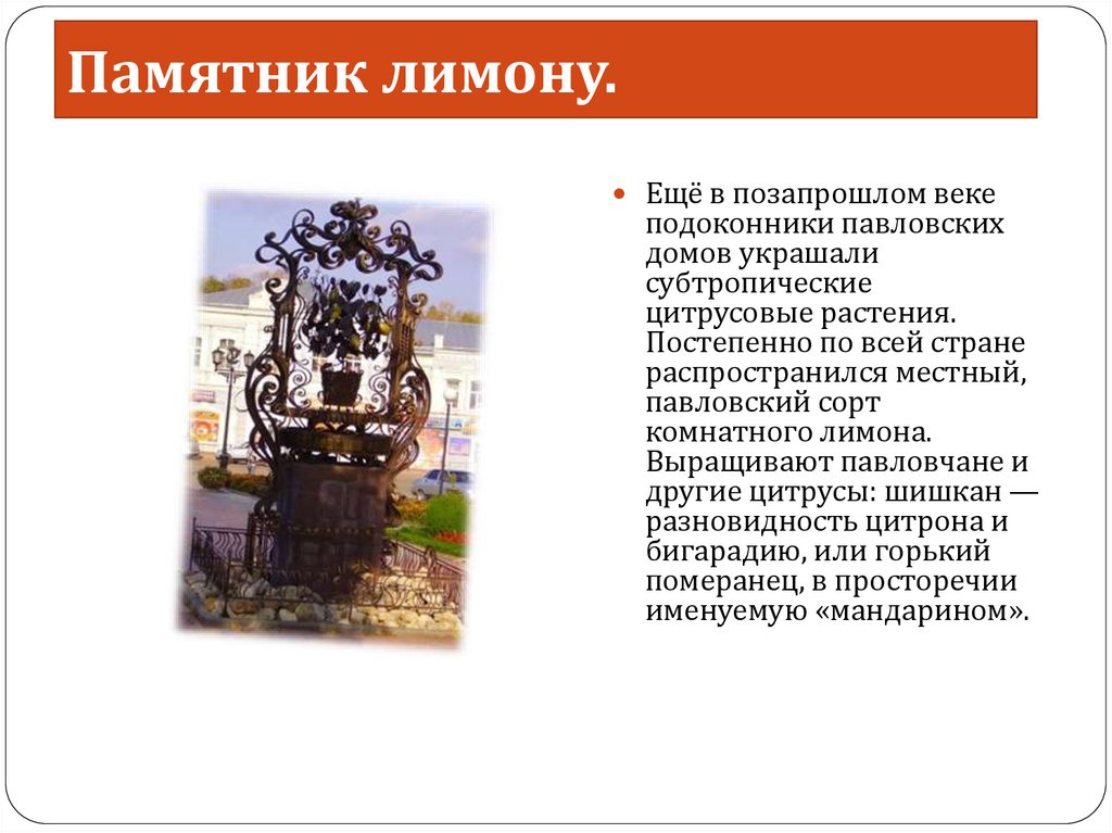 Памятник лимону.