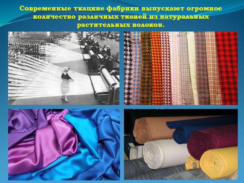 «Растительные волокна» - презентация онлайн