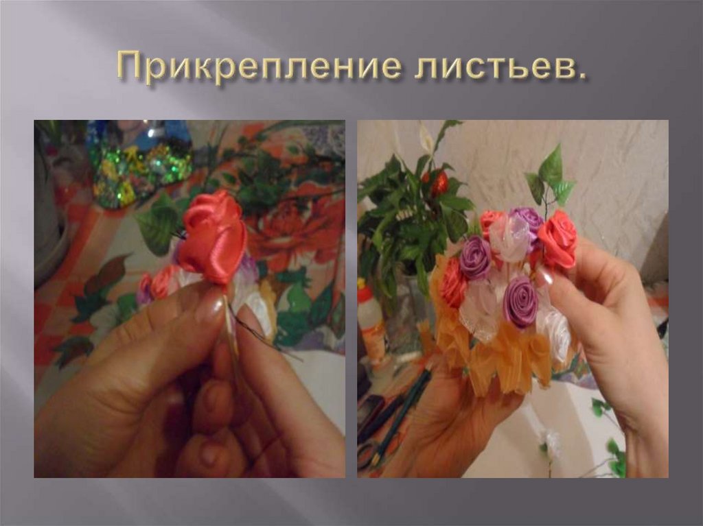 Прикрепление листьев.