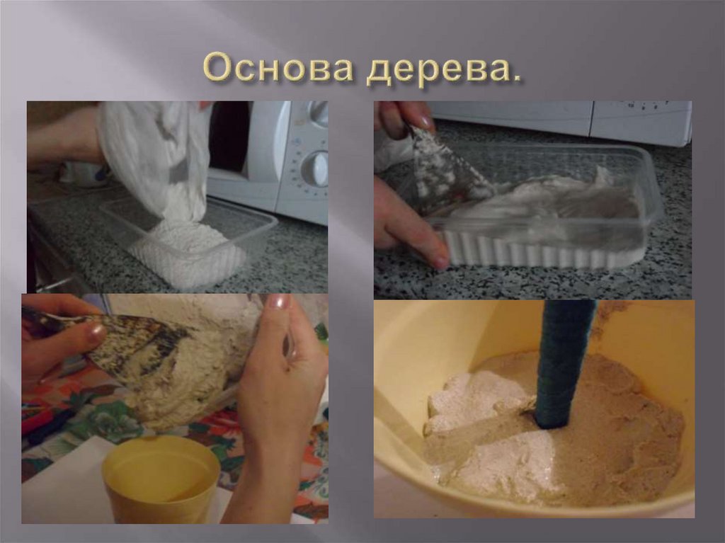 Основа дерева.