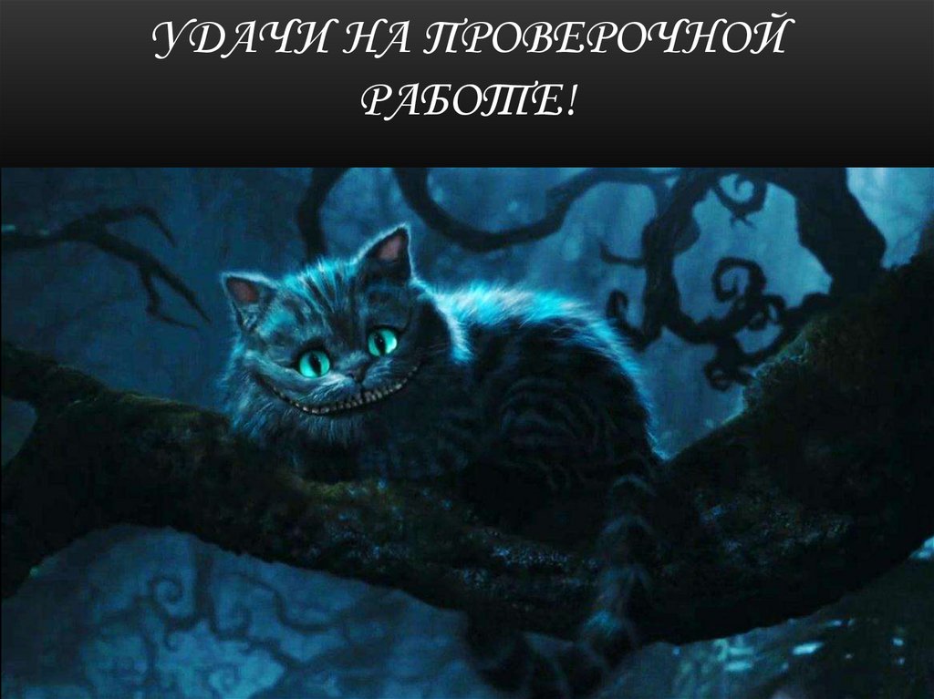 Удачи на ПРОВЕРОЧНОЙ работе!