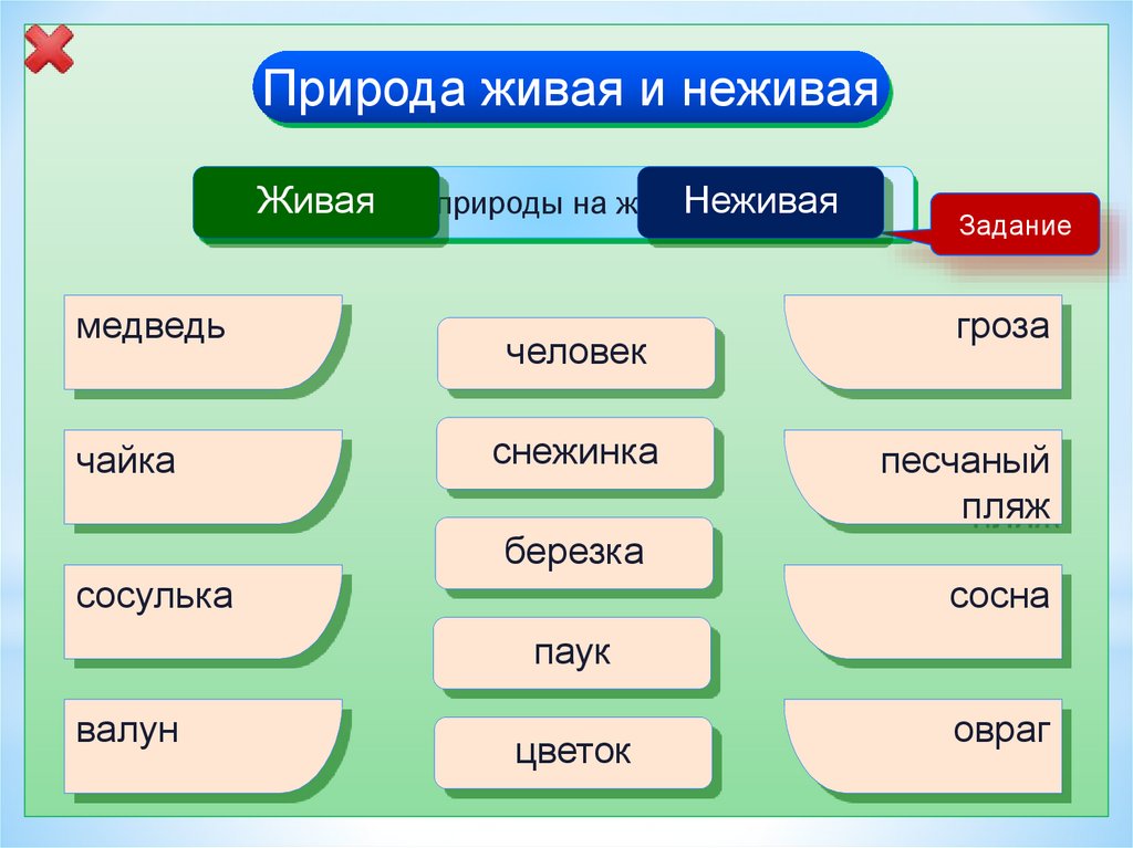 Тела природы примеры. Тела вещества явления природы 3 класс. Воздух это физическое тело или вещество. Тело вещество или явление природы. Воздух это тело или вещество 3 класс.