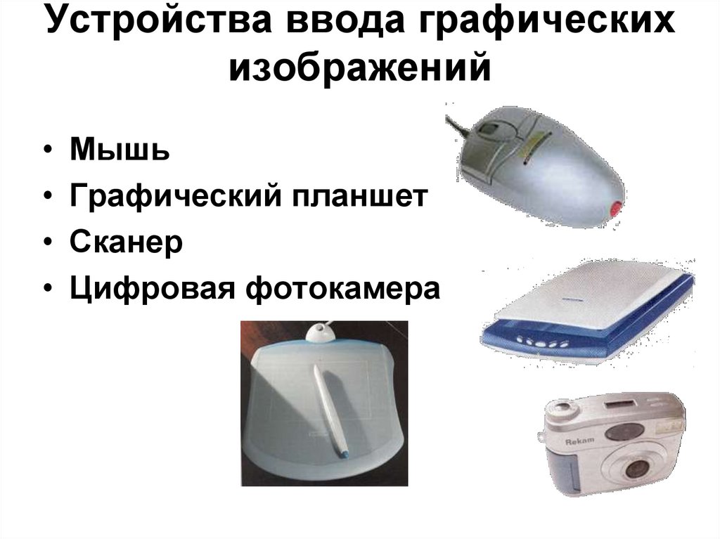 Выберите устройства ввода графической информации. Устройства ввода графических изображений.