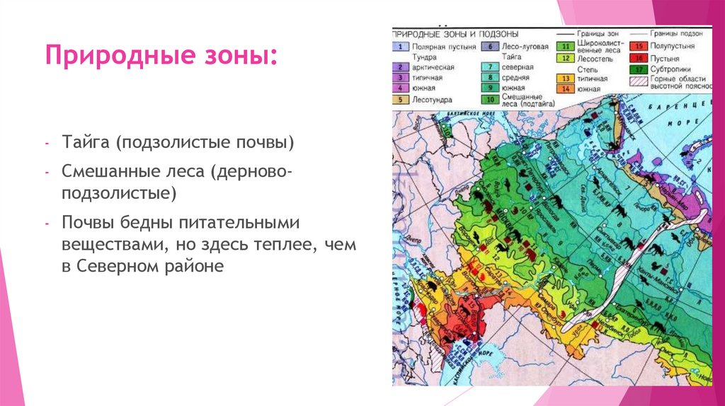 Природные зоны: