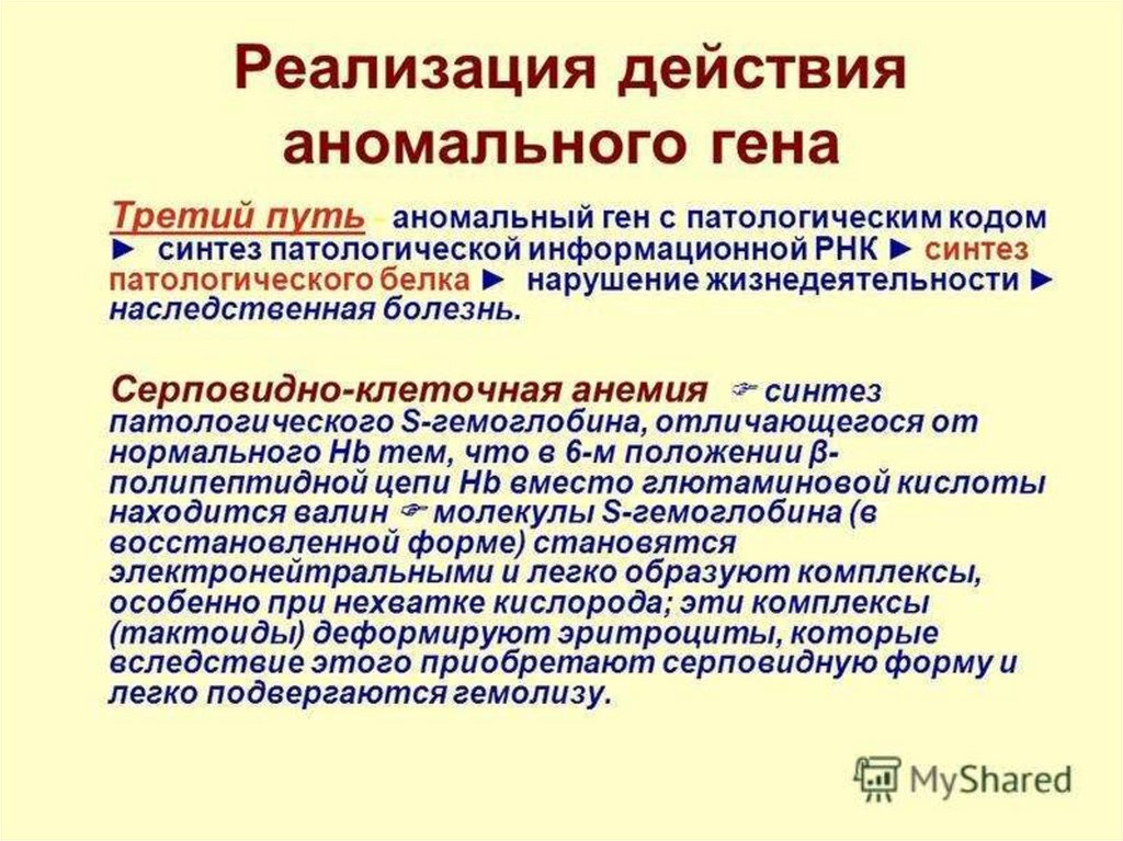 Наследственность и патология презентация