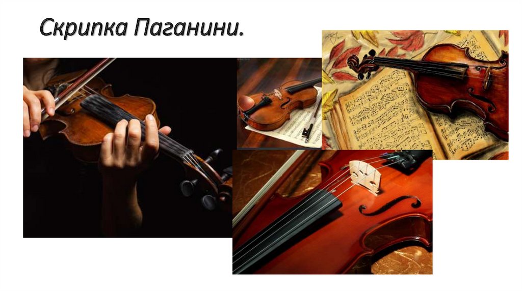 Играть первую скрипку это. Скрипка Никколо Паганини. Вдова Паганини скрипка.