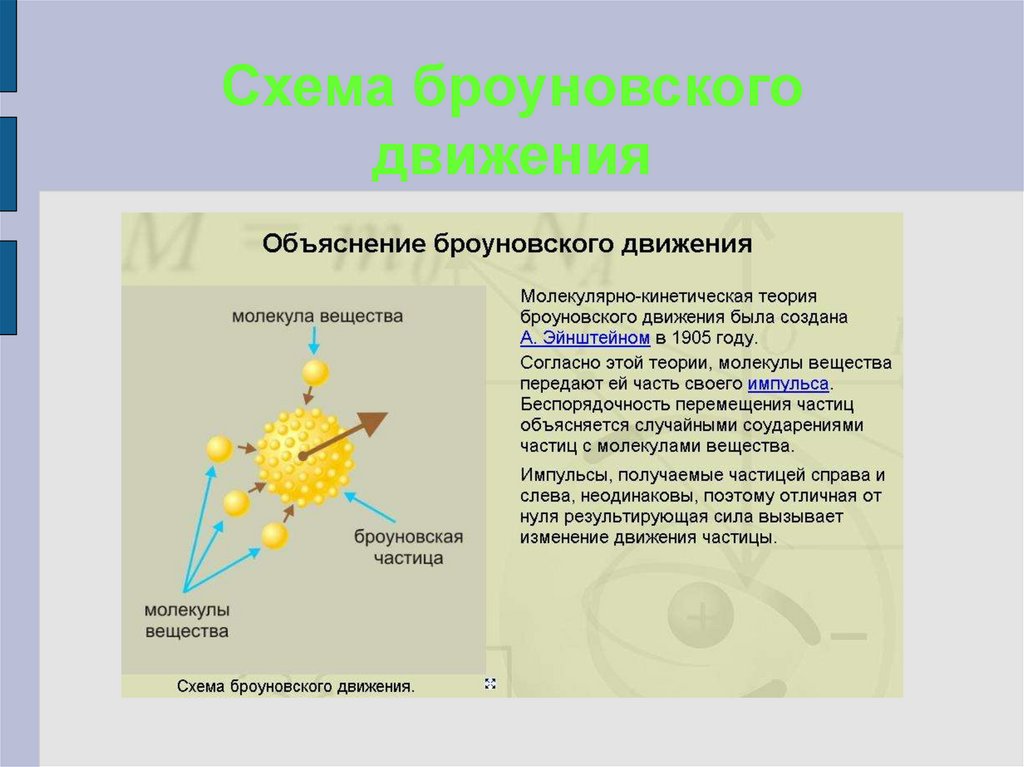 Интенсивность броуновского движения зависит от этой величины