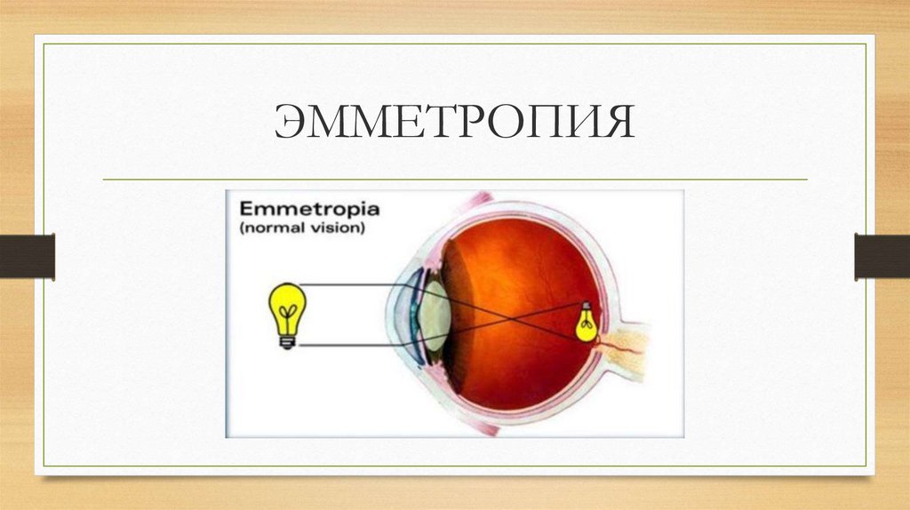 Рефракция и визометрия. Методы диагностики в офтальмологии ...