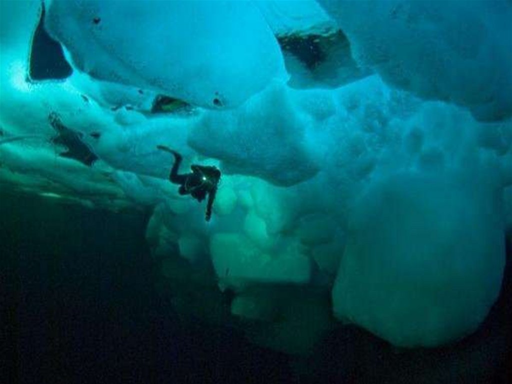 Антарктида вода ростов