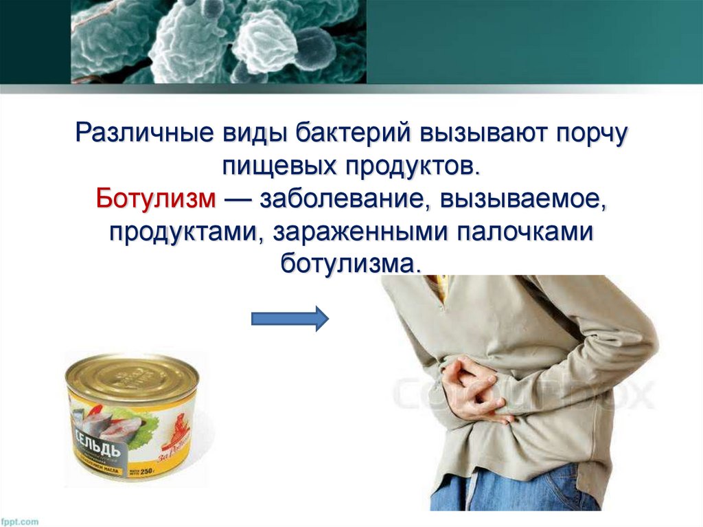 Вызывает порчу пищевых продуктов