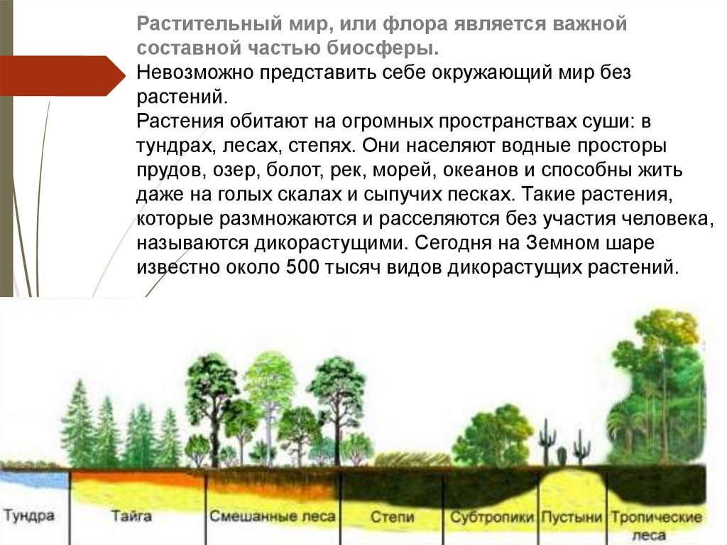 История жизни на Земле — Википедия