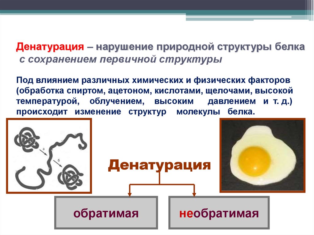 Денатурация белка картинка