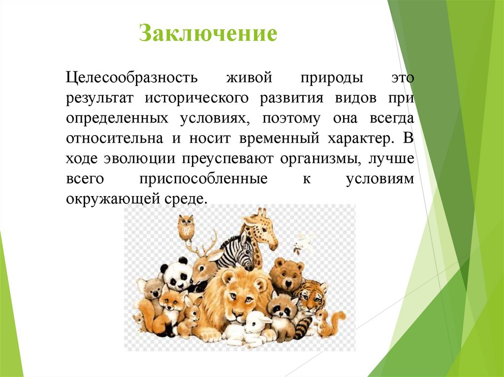 Заключение