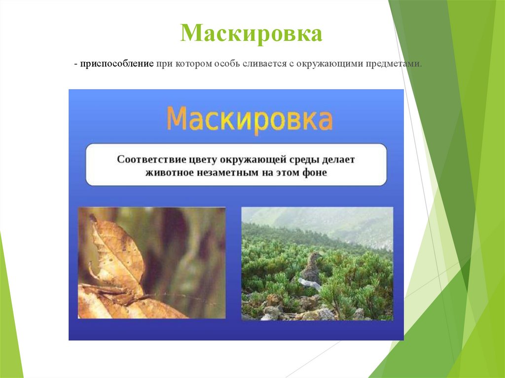 Маскировка