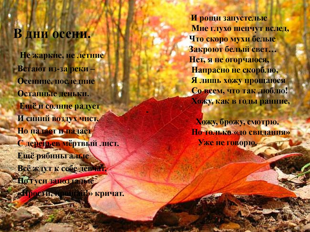 Текст стоит осенний день везде. Стихи про осень. Стихи про осенние листья. Стихотворение на день осени. Стихи про осень красивые.