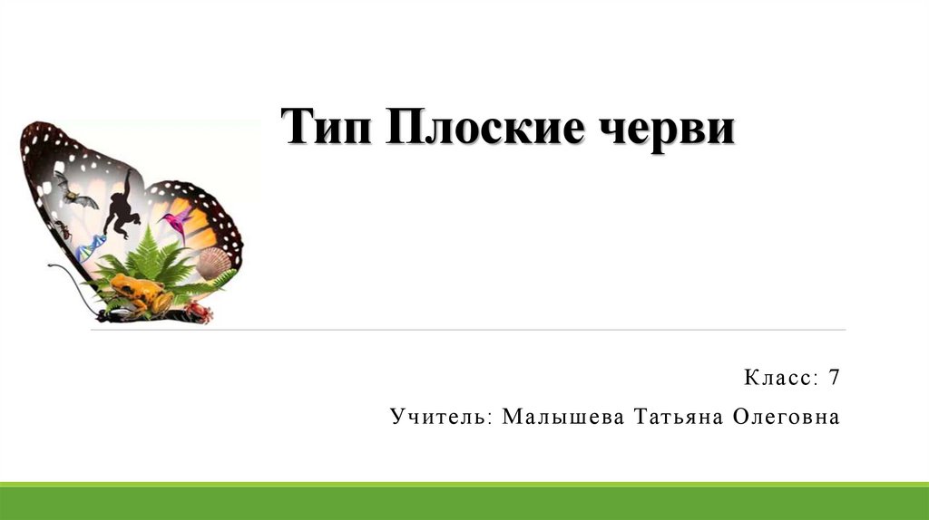 Тип Плоские черви
