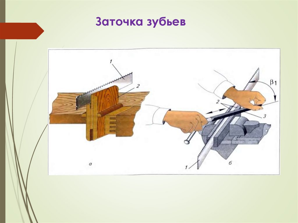 Труд 5 класс. Инструмент для пиления заготовок из древесины. Пиление заготовок из древесины 5 класс. Труд 5 класс пиление древесины. Пиление древесины 5 класс презентация.