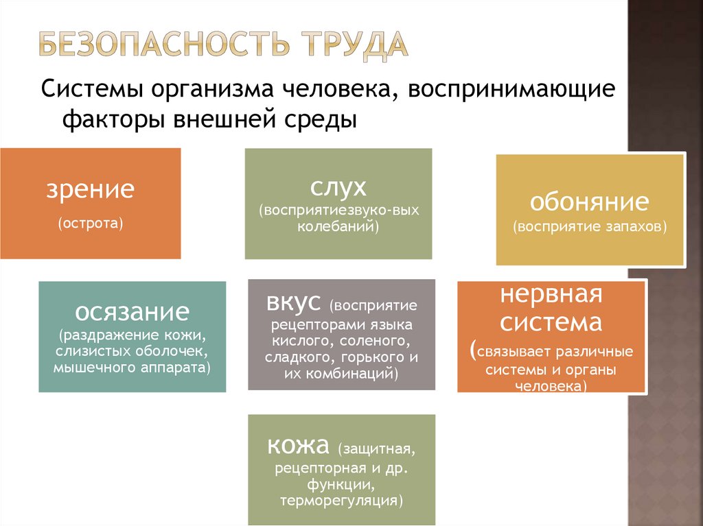 Цвет в жизни человека презентация