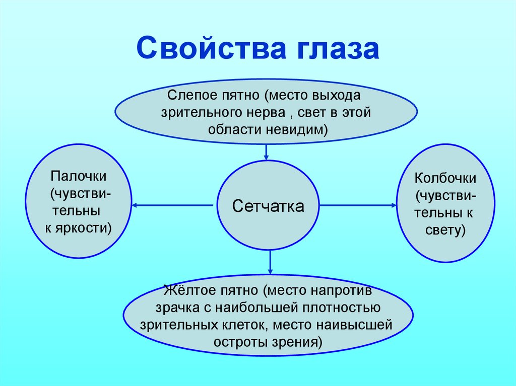 Презентация свойства глаза