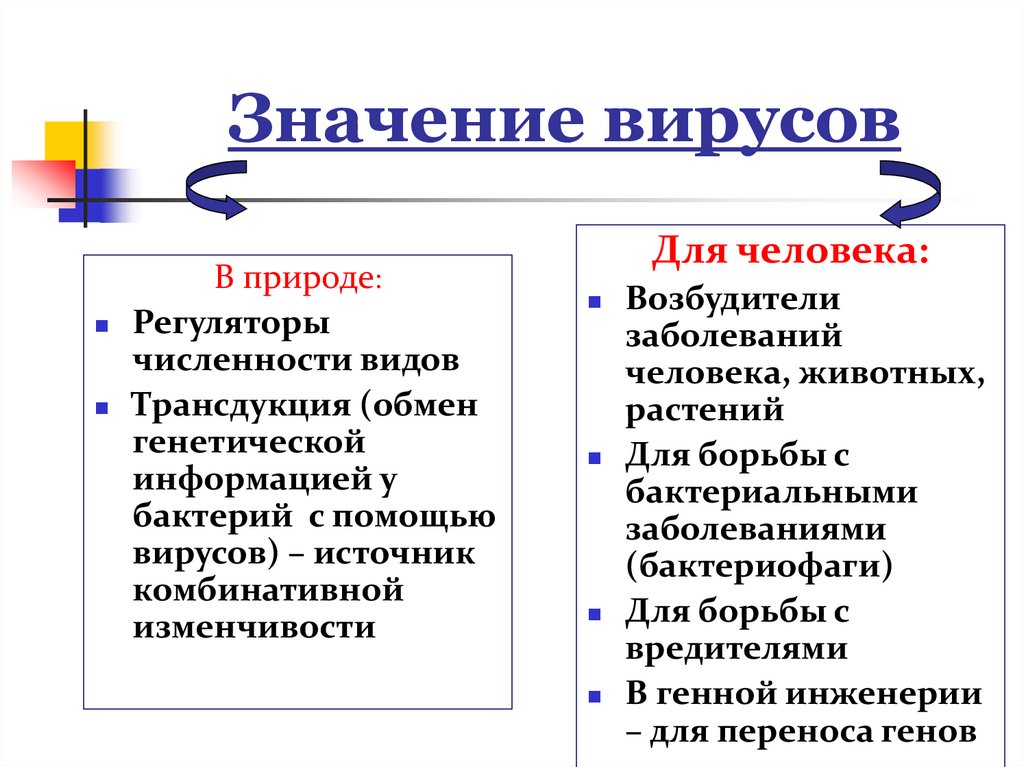 Строение и жизнедеятельность вирусов 5 класс. Значение вирусов в природе. Значение вирусов для человека. Значение вирусов в природе и жизни человека. Значение вирусов в жизни человека.