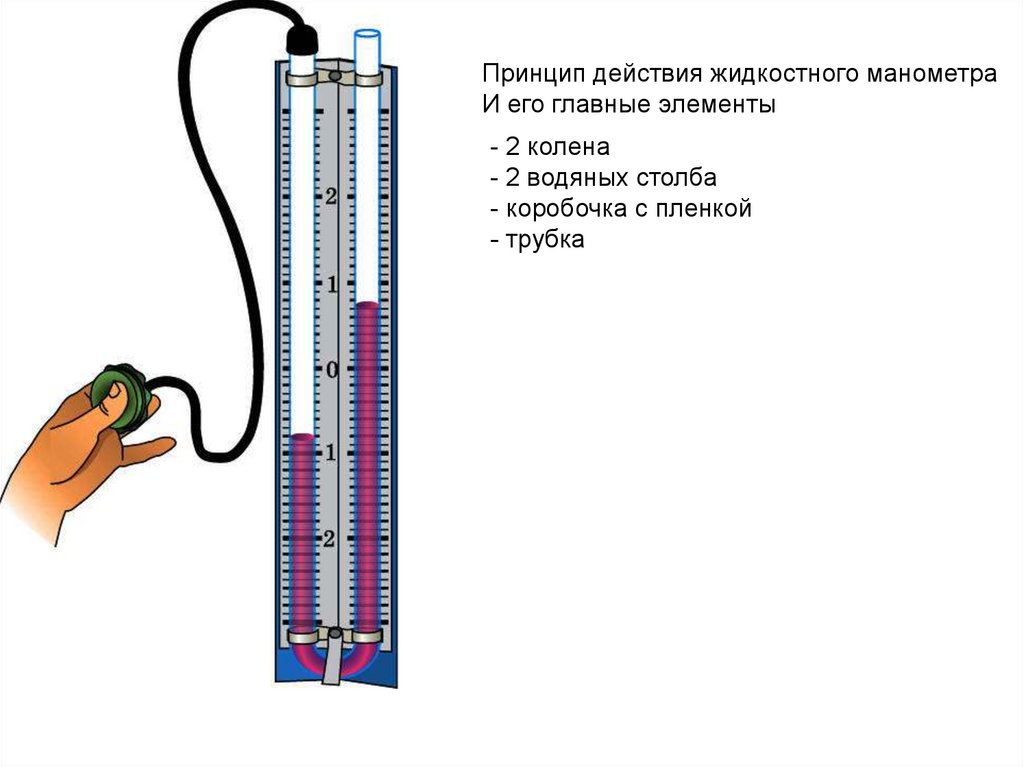 Манометры - презентация онлайн