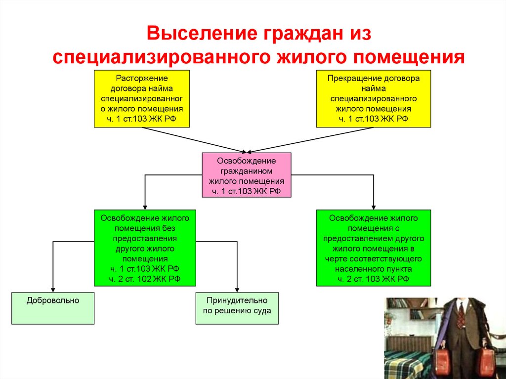 Специализированные жилые помещения