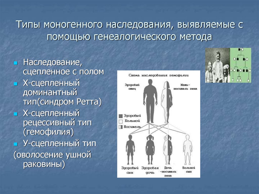 Генетика пола и наследование сцепленное с полом презентация 11 класс