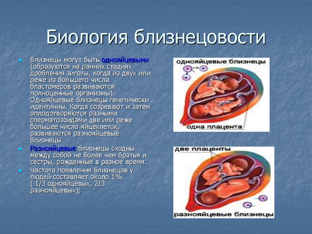 Близнецы презентация 11 класс