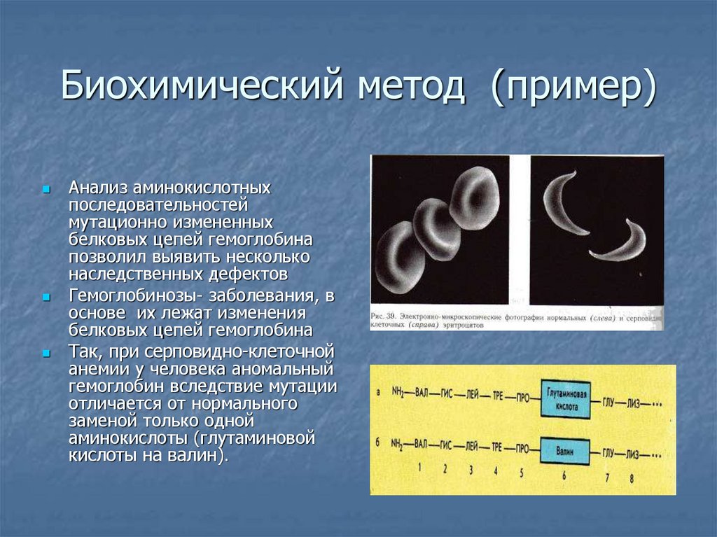 Биохимические методы диагностики. Биохимический метод генетики человека кратко. Биохимический метод изучения генетики человека. Биохимический метод изучения наследственности человека. Биохимический метод изучения генетики человека болезни.