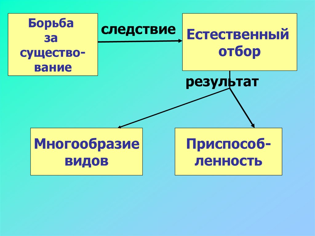 Естественный отбор борьба. Борьба за существование и естественный отбор. Следствие естественного отбора. Борьба за существование следствие естественного отбора. Кластер борьба за существование и естественный отбор.