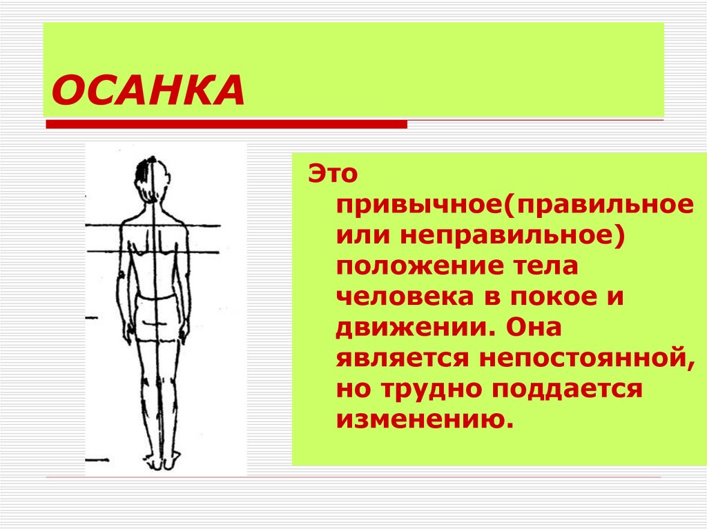 Тело в покое рисунок. Осанка. Осанка человека. Правильная осанка. Осанка человека презентация.