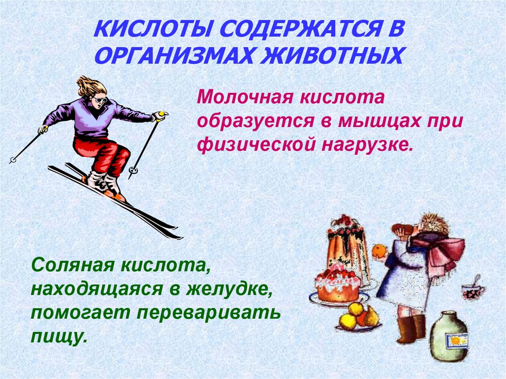 КИСЛОТЫ СОДЕРЖАТСЯ В ОРГАНИЗМАХ ЖИВОТНЫХ