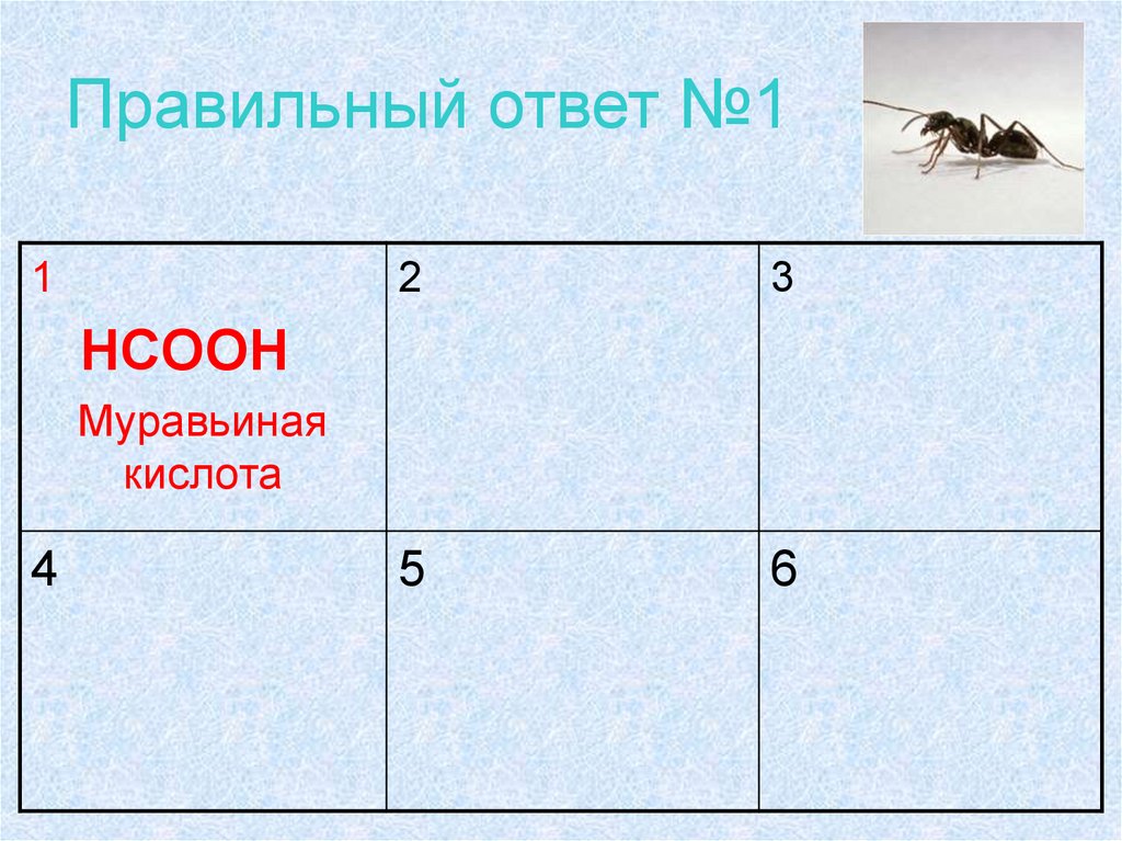 Правильный ответ №1