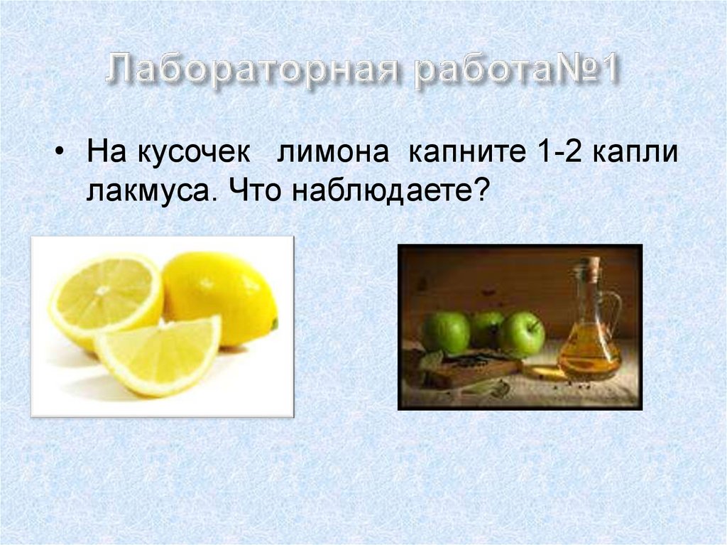 Лабораторная работа№1