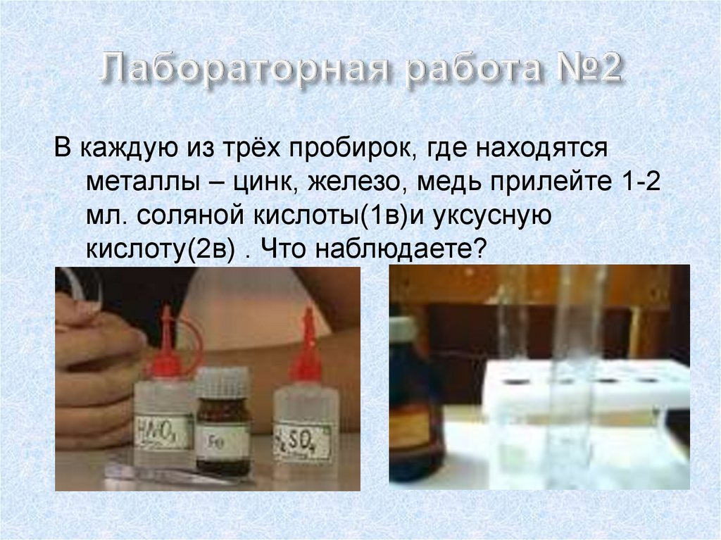 Лабораторная работа №2