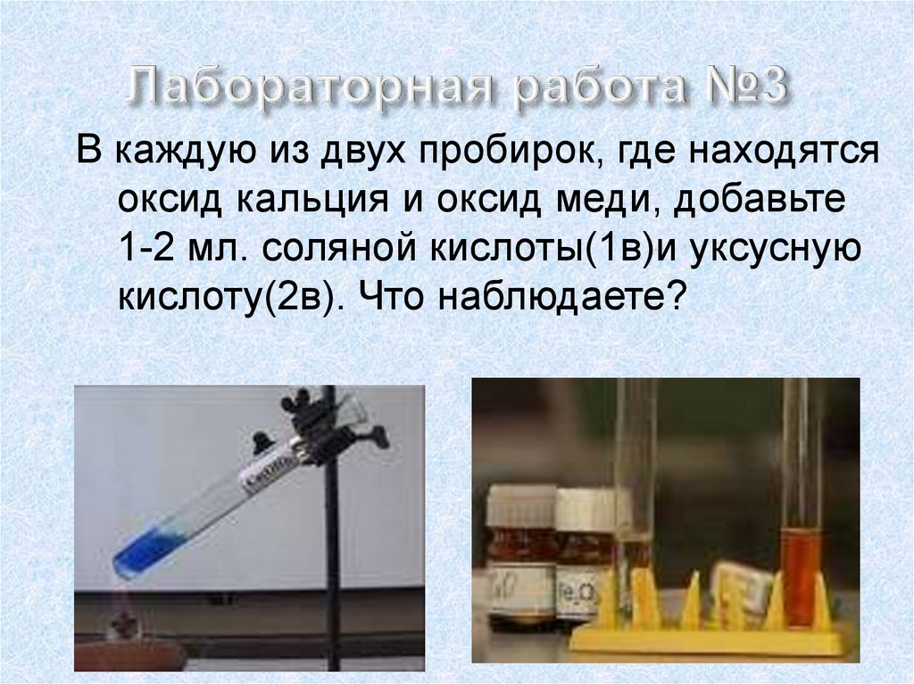 Лабораторная работа №3