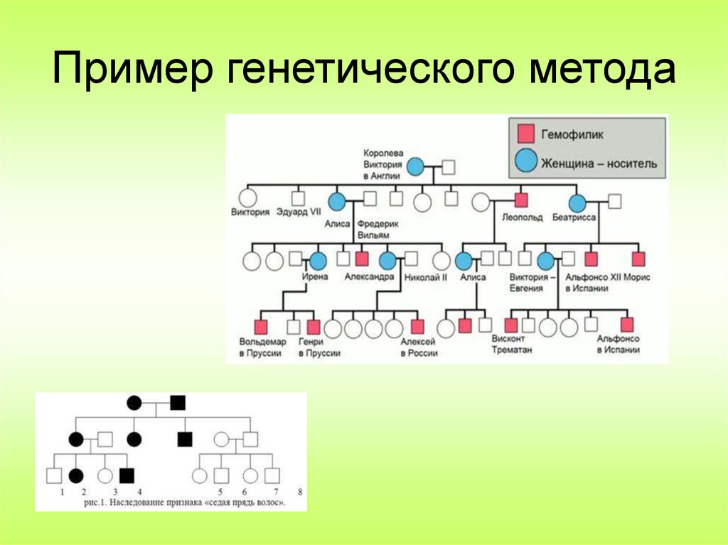 Генетический примеры