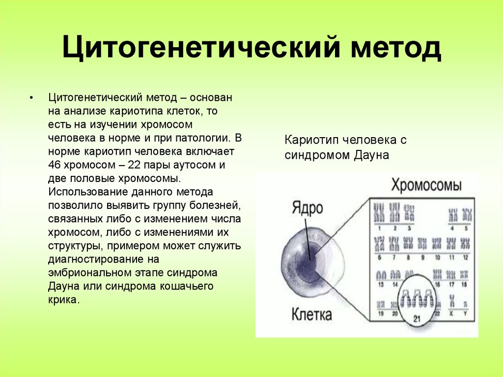 Цитогенетический метод