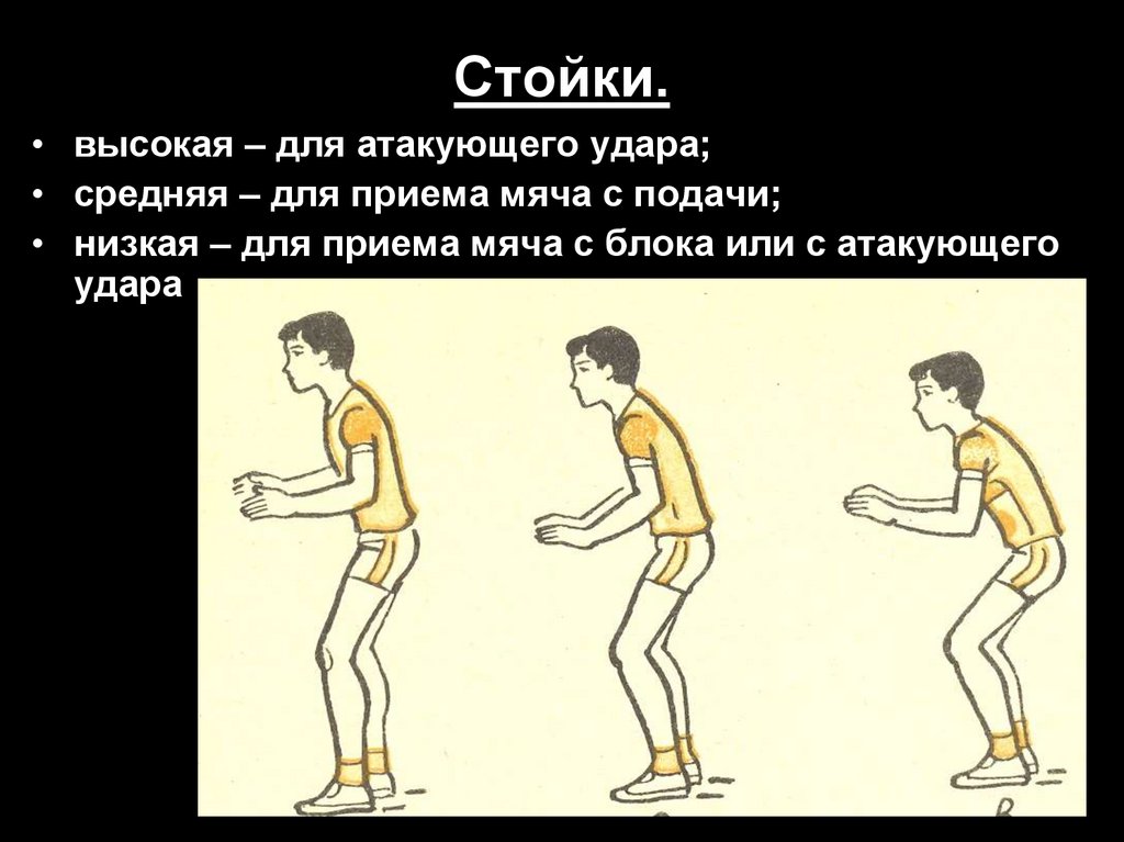 Низкий прием. Средняя стойка в волейболе. Стойка волейболиста низкая средняя высокая. Низкая средняя высокая стойки в баскетболе. Средняя стойка волейболиста.