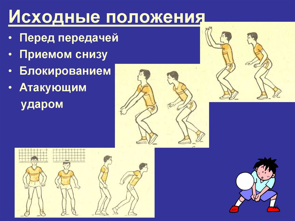 Положение перед. Исходное положение в волейболе. Прием снизу положение. Исходное положение блокирования в волейболе. Исходно положение приема снизу.