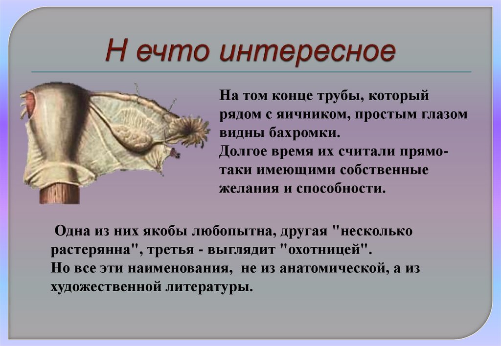 Н ечто интересное