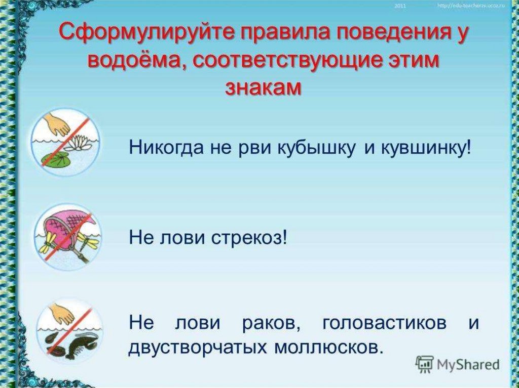 Поведение соответствующее правилам. Правило поведения у водоемов. Правила поведения у пресноводных водоемов. Правила поведения на пруду. Знаки правила поведения у водоема.