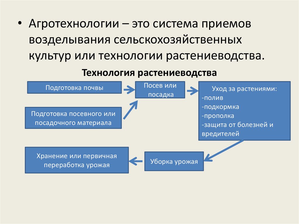 Роль науки в растениеводстве презентация