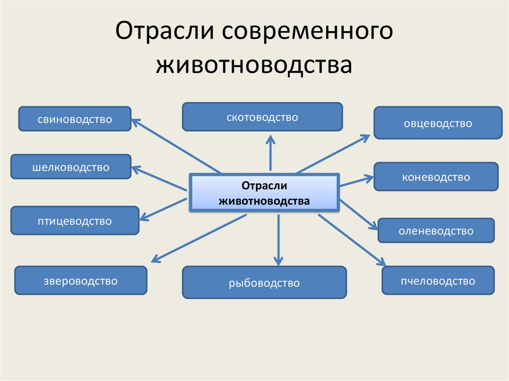 Составьте схему кластер животноводство