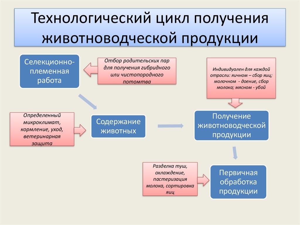 Презентация по теме технологии животноводства