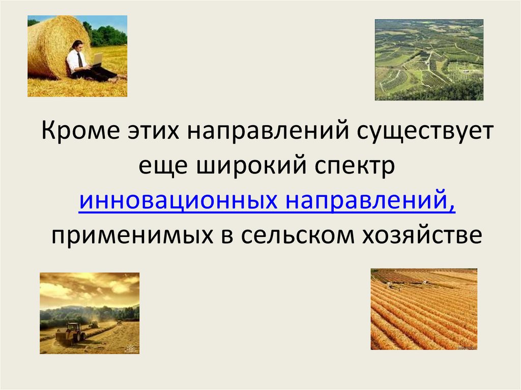 Технологии сельского хозяйства презентация. Бывают направления что ещё бывает виды направлений.